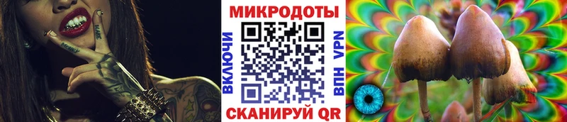 Псилоцибиновые грибы GOLDEN TEACHER  Купить  Мытищи 